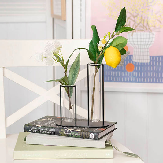 Glass Two Tube Multi Vase Metal Frame Black (15.6Dx17.5cmH)