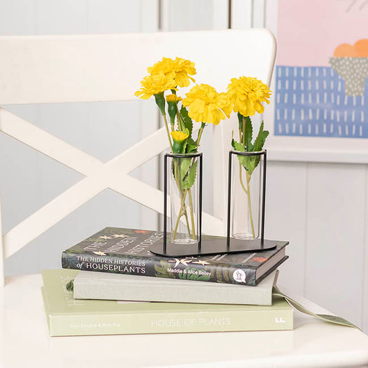 Glass Two Tube Vase Metal Frame Black Small (15.6Dx11cmH)