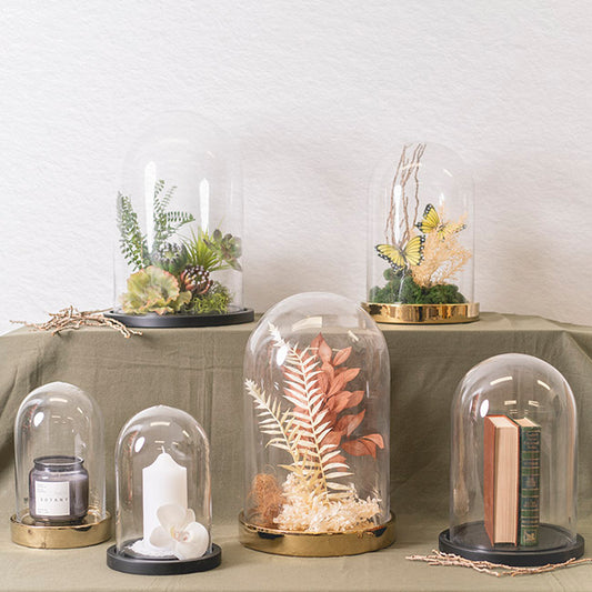 Glass Cloche Dome Terrarium Golden Base (16.5Dx27cmH)