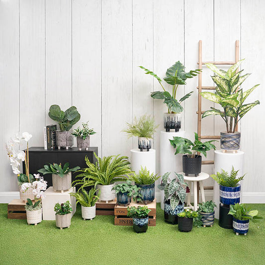 Home Accents Plant Pot Cream Patterned Set 2 (20.5Dx20.5cmH)