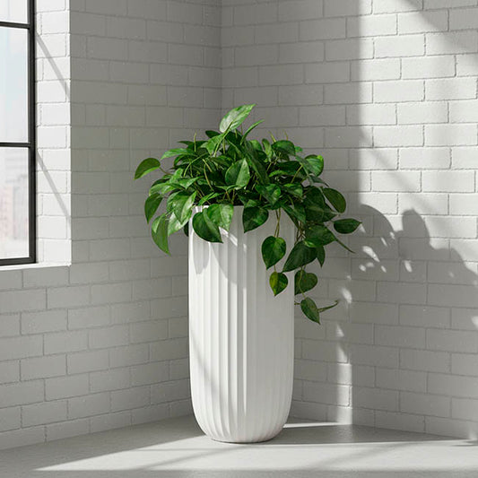 Fibreglass Fluted Cylinder Planter Matte White (40x90cmH)