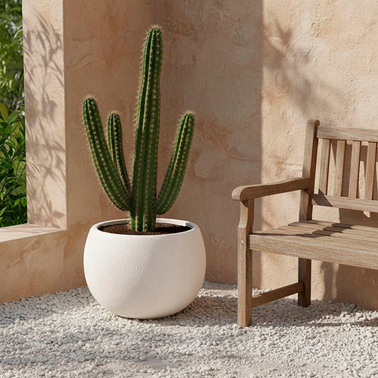 Fibreglass Large Round Planter Matte White (38x28cmH)