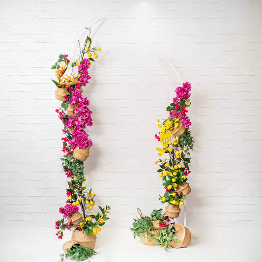 Backdrop Tall Metal Arch Frame Set 2 White (210cmH&250cmH)