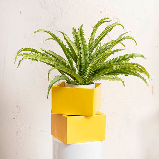 Large Posy Box Autolock Base Pack 10 Yellow (22x14cmH)