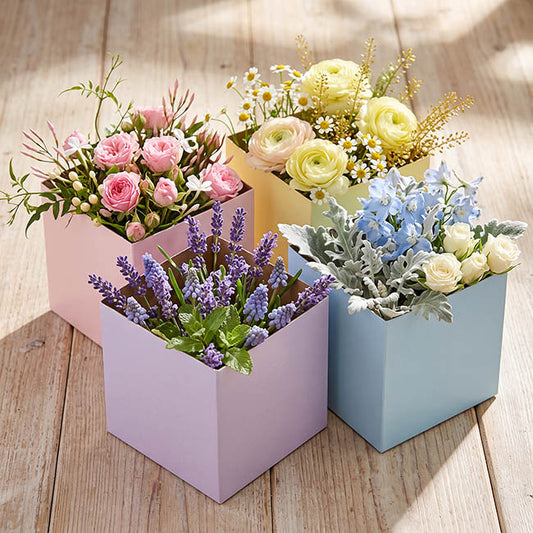 Posy Box Petite Assorted Mellows Pack 20 (10x10x10cmH)