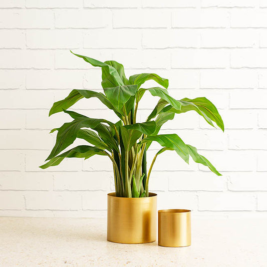 Metal Pot Round Brass Gold (20x18cmH)