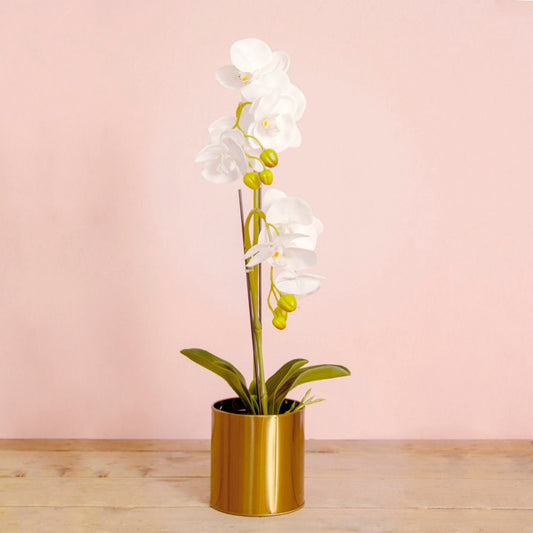 Metal Plant and Arrangement Pot Brass Gold (12x13cmH)