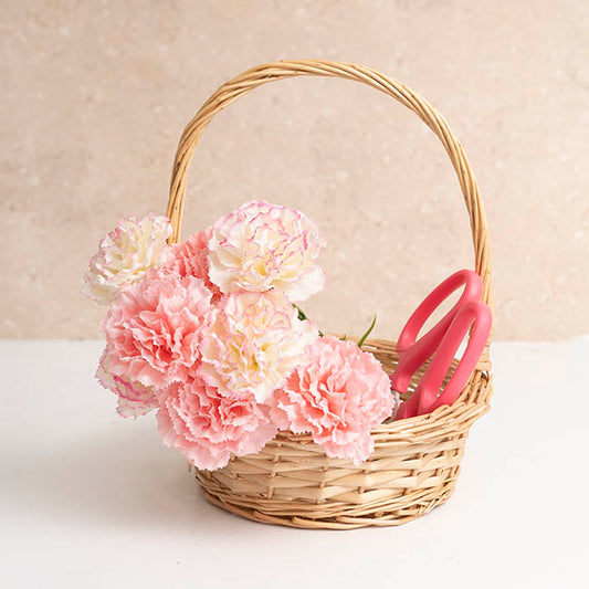 Willow Basket with Handle Round Natural (24Dx9cmH)