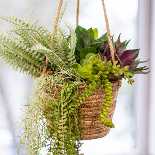 Maya Grass hanging Basket Round Natural (22Dx16.5cmHx68TH)