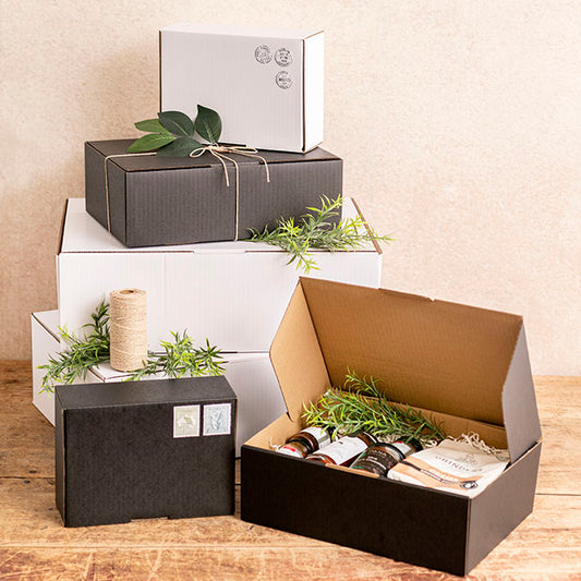 Kraft Mailing Box Pack 10 A4 Medium White (310Wx225Dx102mmH)