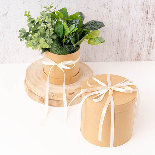 Bulk Ribbon Single Face Satin Ivory (10mmx50m)