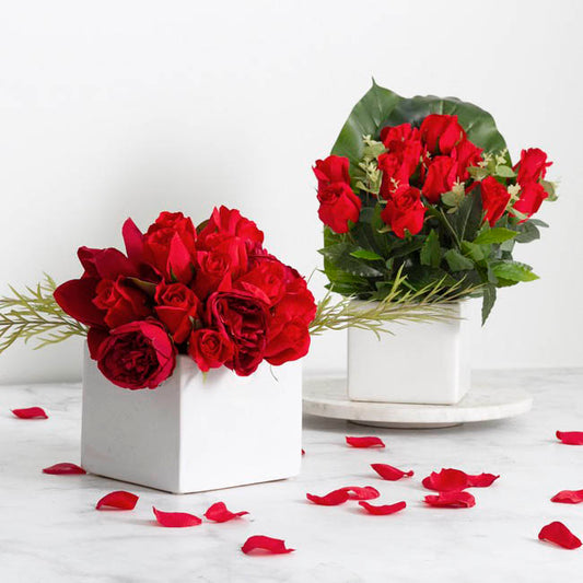 Ceramic Bondi Cube White (13x13x12cmH)