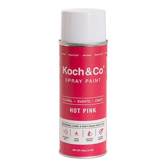Floral Event Craft Spray Paint Hot Pink (340g)