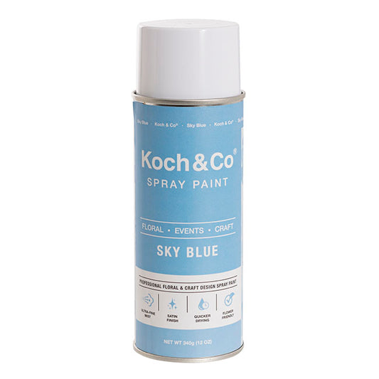 Floral Event Craft Spray Paint Sky Blue (340g)