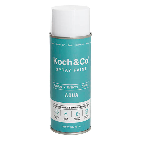 Floral Event Craft Spray Paint Aqua (340g)
