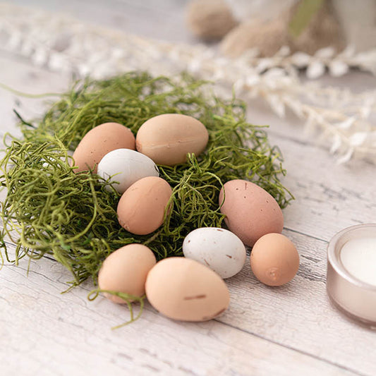 Spanish Moss Preserved Grass Green (110gm Bag)