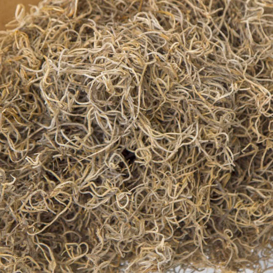 Spanish Moss Preserved Bulk Natural (4.55kg Box)