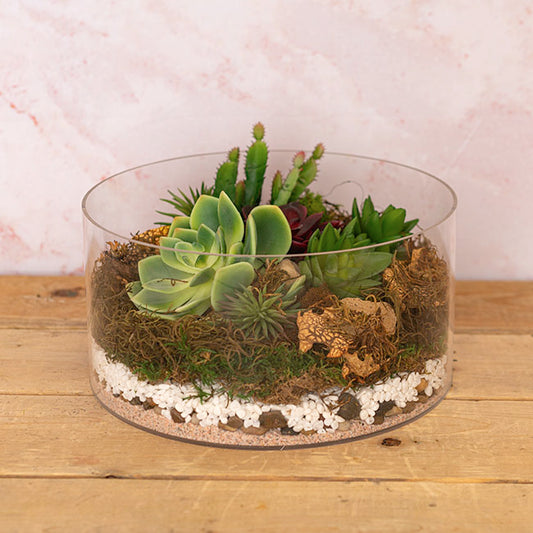 Carolina Moss Mix Preserved Bag Moss Assorted (55gm Bag)