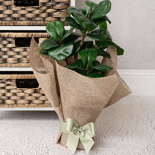 Faux Linen Mesh Sheet 125gsm Natural Pack 50 (47x70cm)