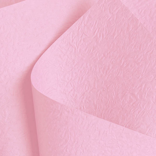 Embossed Paper 60gsm Luxe Ballet Slipper Pk50 (54x76cm)