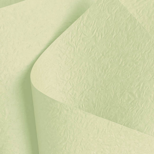 Embossed Paper 60gsm Luxe Apple Mist Pk50 (54x76cm)