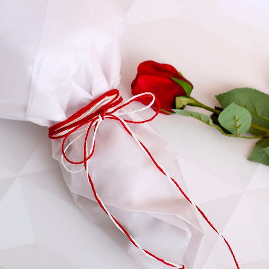 Paper Twine White (2mmx100m)