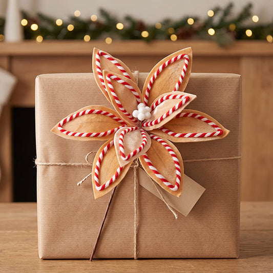 Ginger Swirl Poinsettia Stem Brown (36cmDx50cmH)