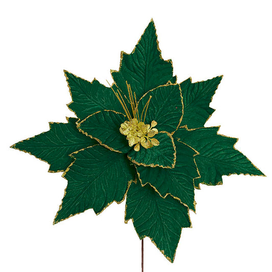 Elegant Poinsettia Stem Dark Green (45cmDx30cmH)