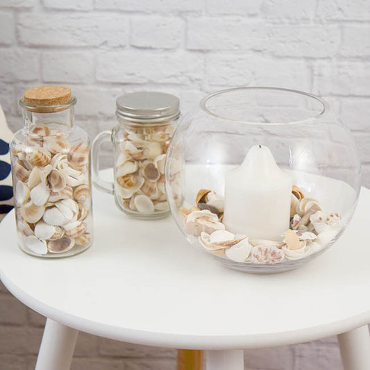 Shells Assorted Natural (340gm Jar)