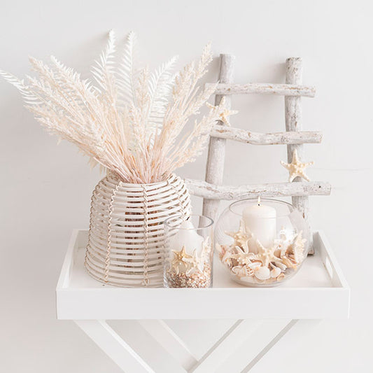 Starfish Decoration Small Natural (32pcs Per Jar)