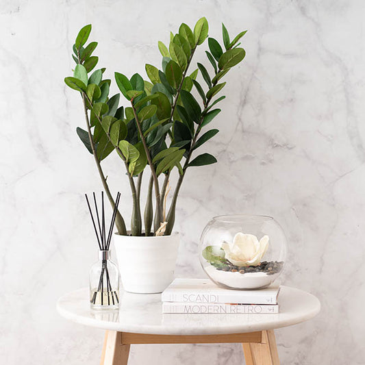 Coloured Sand Coarse Dyed White (760g Jar)