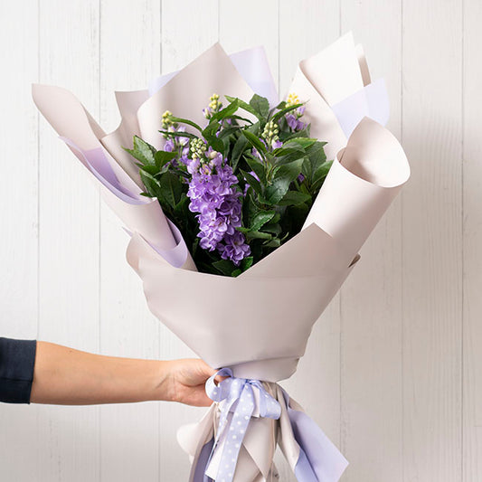 Cello Regal Pro 65mic Lilac Grey (50x70cm) Pack 100