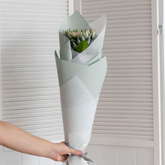 Cello Regal Pro 65mic Deep Sage (50x70cm) Pack 100