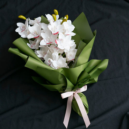 Cello Regal Pro 65mic Moss (50x70cm) Pack 100