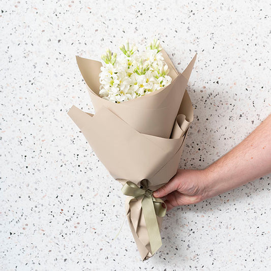 Cello Regal Pro 65mic Taupe Brown (50x70cm) Pack 100