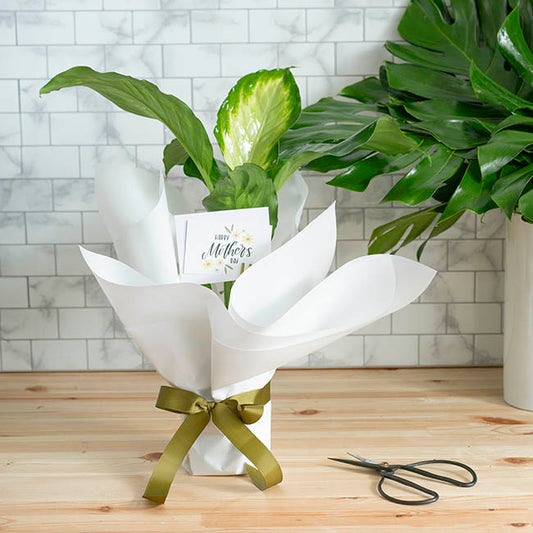 Tallow Paper Ribbed 80 micron White Pack 50 (50x70cm)