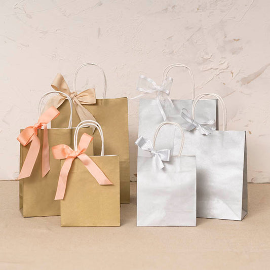 Kraft Paper Bag Shopper Medium Silver Pk10(205Wx110Gx275mmH)