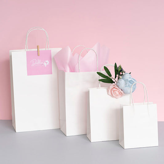 Kraft Paper Bag Shopper Large White Pk10 (240Wx120Gx355mmH)