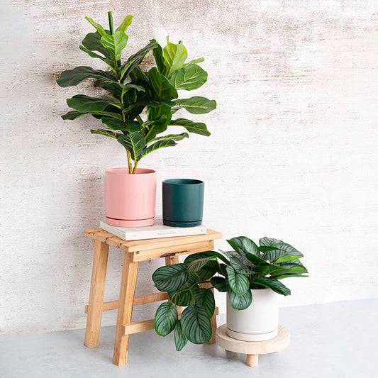 Ceramic Loreto Plant Pot & Plate White Set 2 (18Dx18.5cmH)