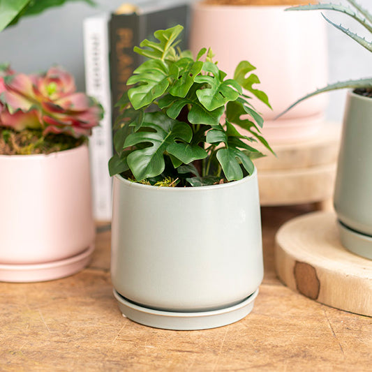 Ceramic Loreto Belly Pot & Plate Matte Sea Foam (15x14cmH)