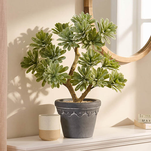Cement Fortress Pot Grey (16Dx13cmH)
