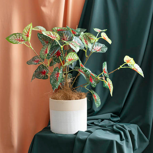 Ceramic Pencil Pot Matte White (13Dx12cmH)