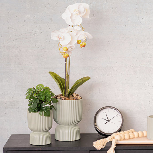 Ceramic Cyprus Egg Cup Vase Matte Sage (15Dx20cmH)