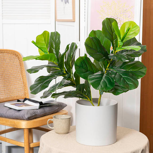 Ceramic Cylinder Dan Plant Pot Matte White (22x22cmH)