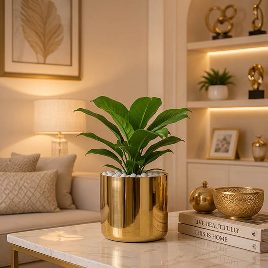 Ceramic Metallic Cylinder Pot Brass Gold (15.5x15cmH)