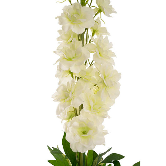 Delphinium Stem Soft Green (108cmH)