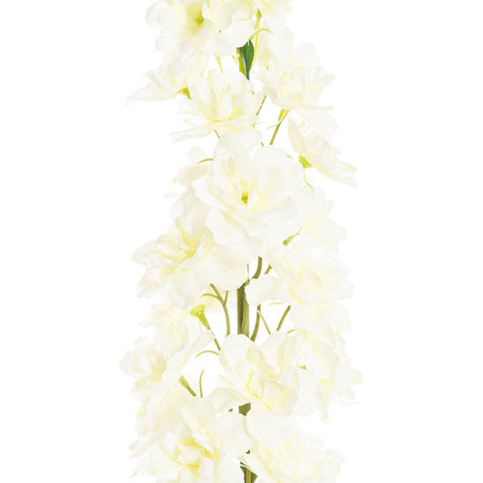 Delphinium Stem White (108cmH)