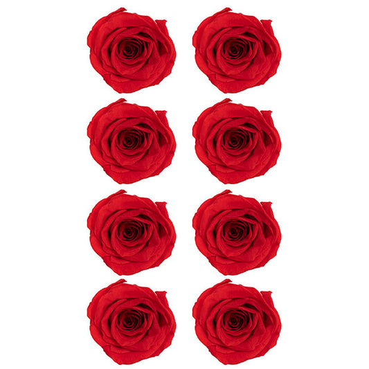 Amore Forever Preserved Rose Heads 8 PCS Dark Red (4-5cmD)