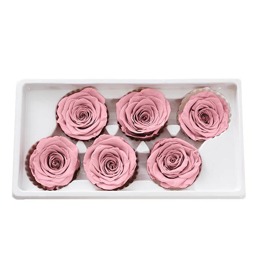 Amore Forever Rose Heads Pack 6 Dusty Pink (5-6cmD)