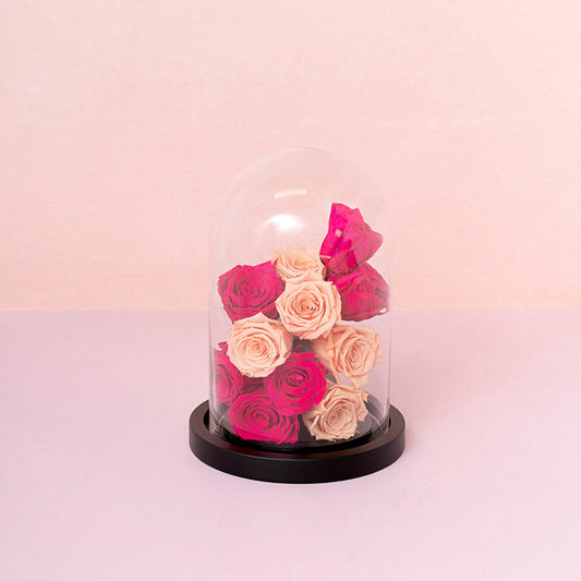 Amore Forever Rose Heads Pack 6 Hot Pink (5-6cmD)